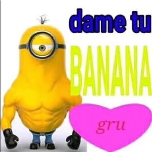 Meet your Posher, Willow